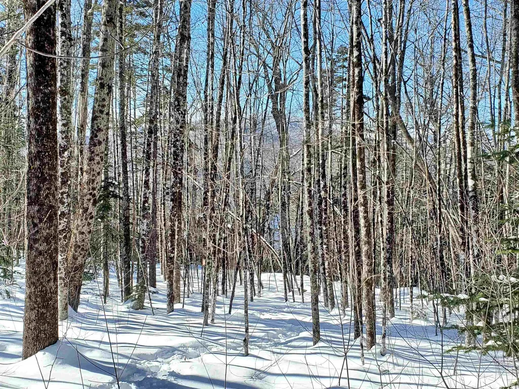 00 Tin Mine Road Jackson NH 03846