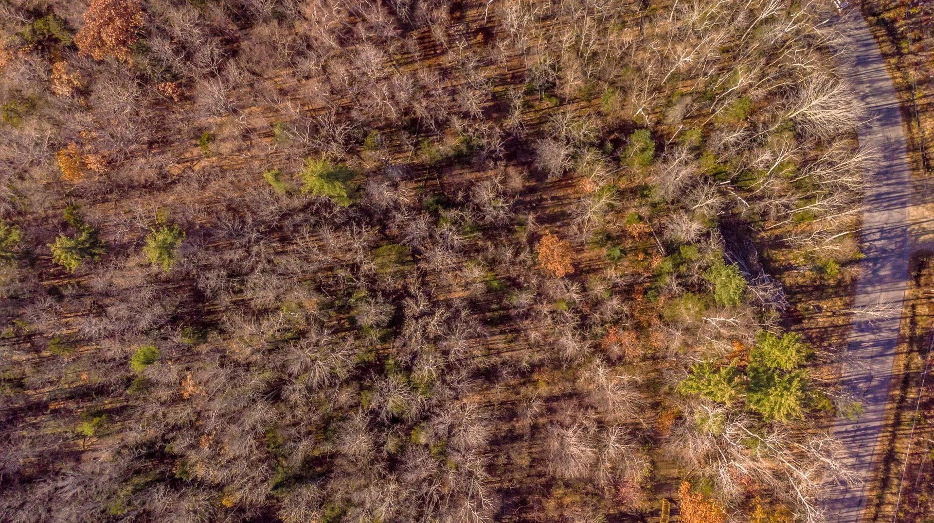 00 Tin Mine Road Jackson NH 03846