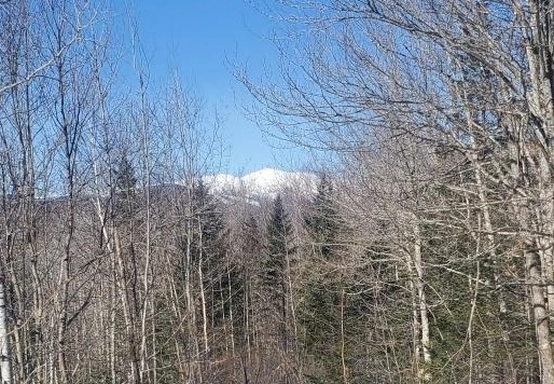 00 Tin Mine Road Jackson NH 03846