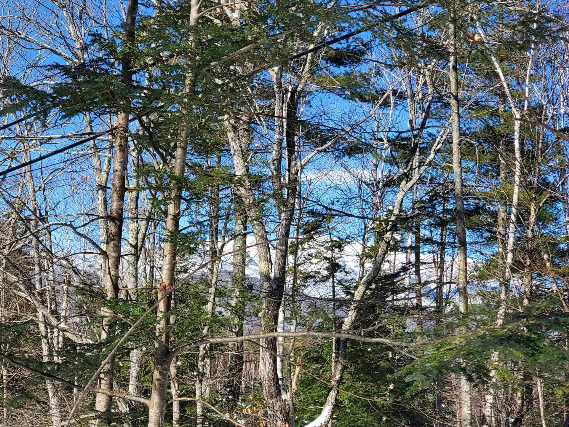 00 Tin Mine Road Jackson NH 03846