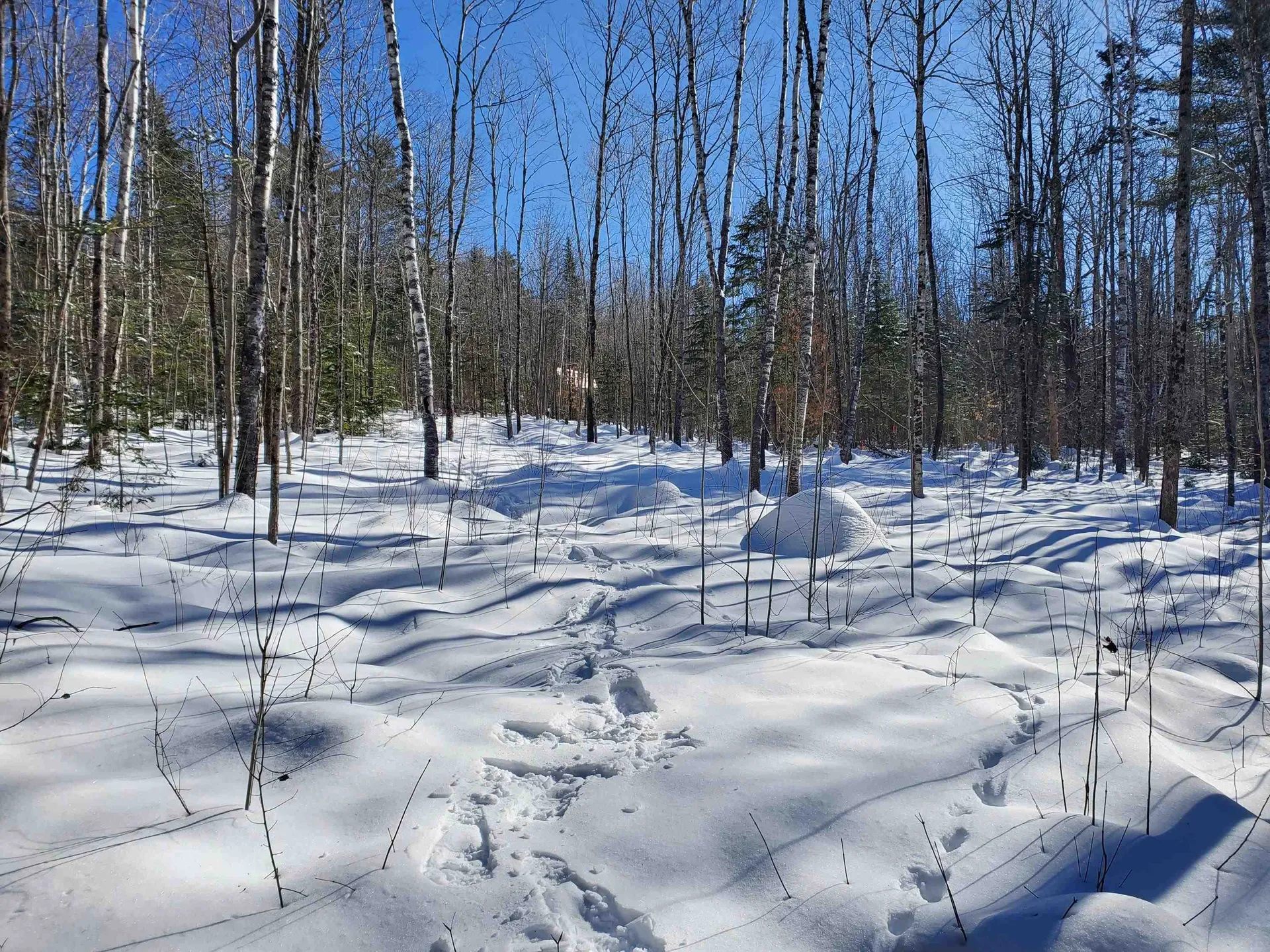 00 Tin Mine Road Jackson NH 03846