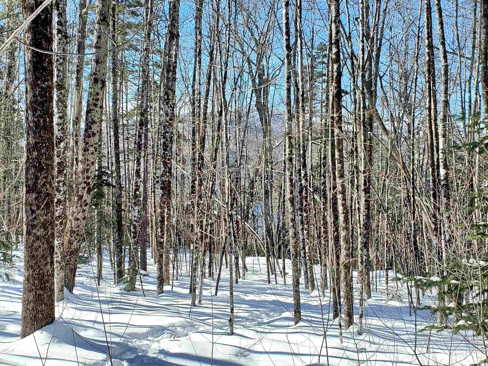 00 Tin Mine Road Jackson NH 03846