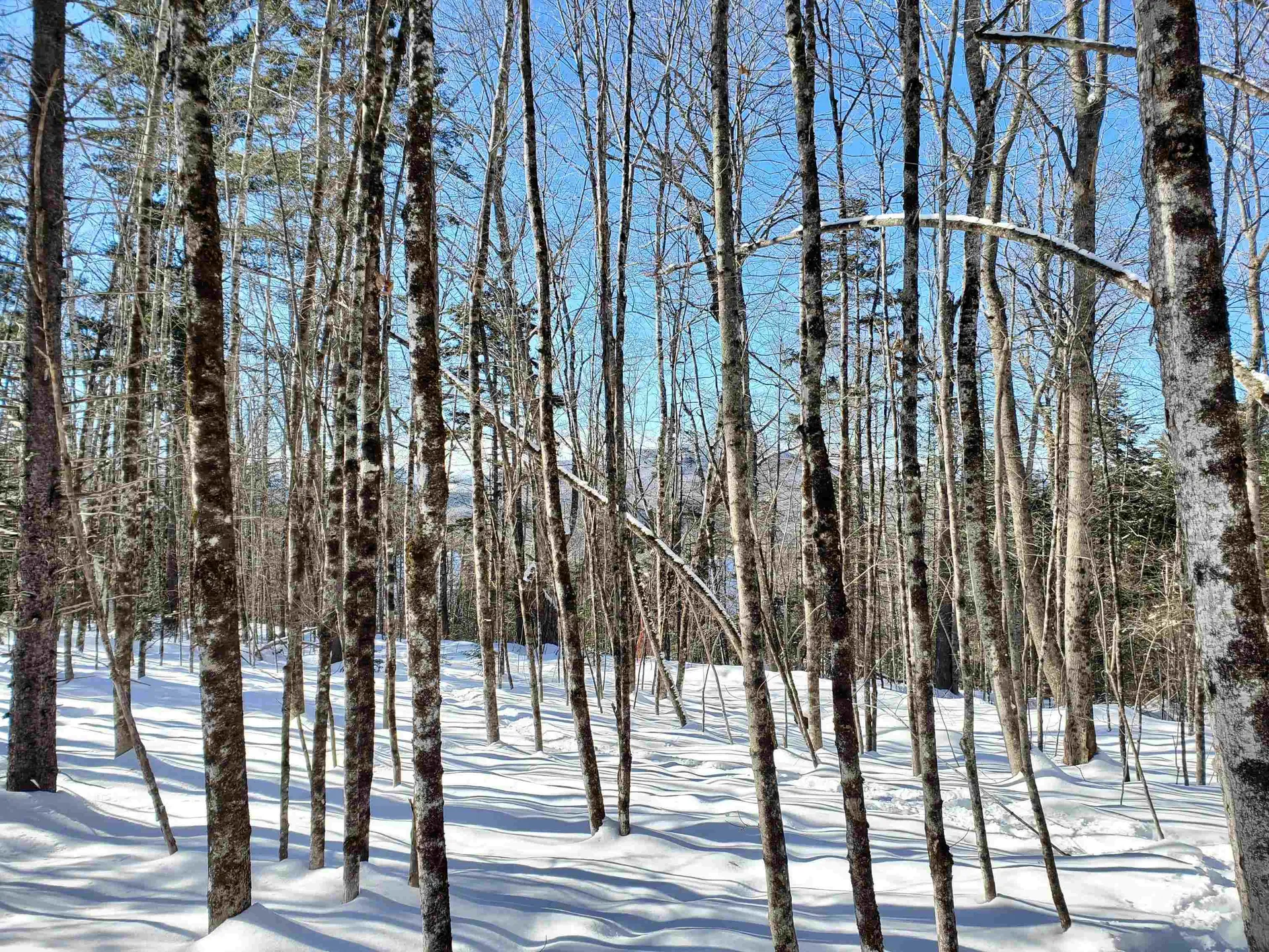 00 Tin Mine Road Jackson NH 03846