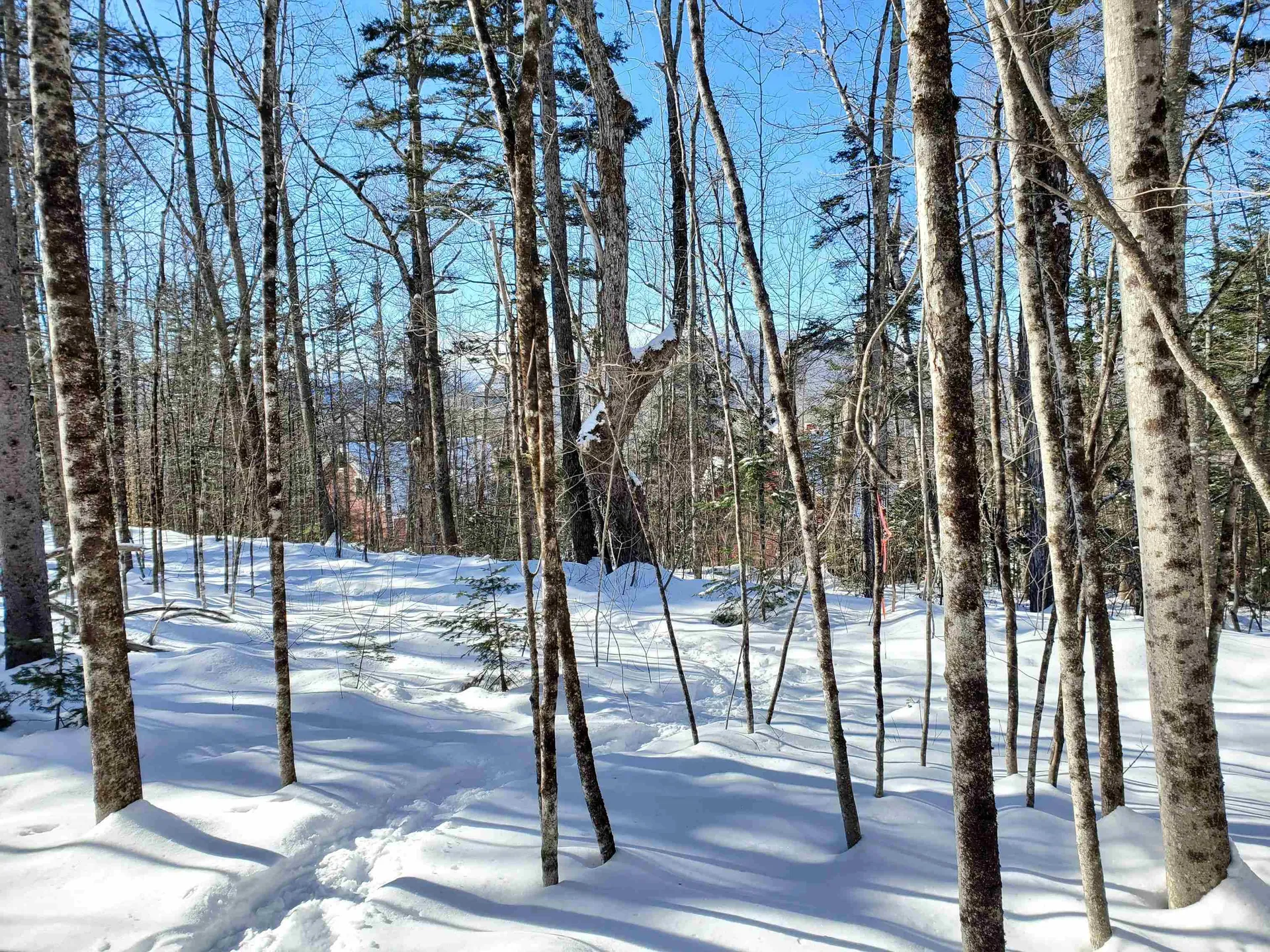 00 Tin Mine Road Jackson NH 03846