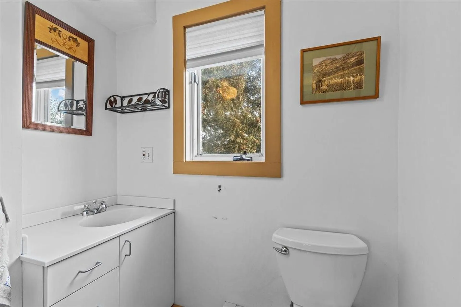 46 Scarff Avenue Burlington VT 05401