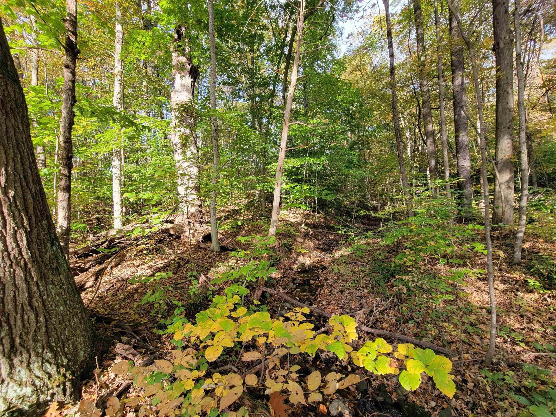 0 Fisher Road Orwell VT 05760
