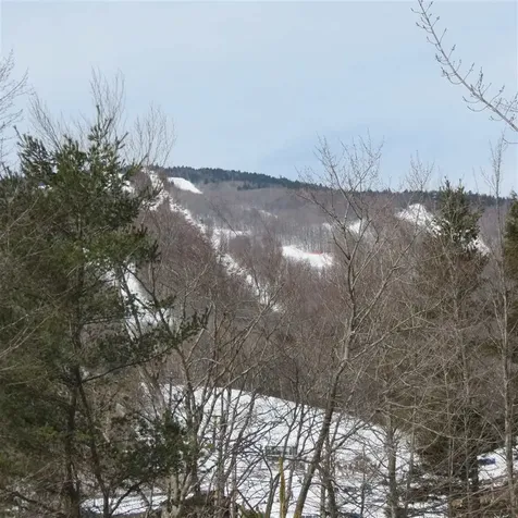 2 Spaulding Farm Road Ludlow VT 05149