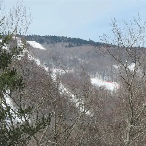 2 Spaulding Farm Road Ludlow VT 05149