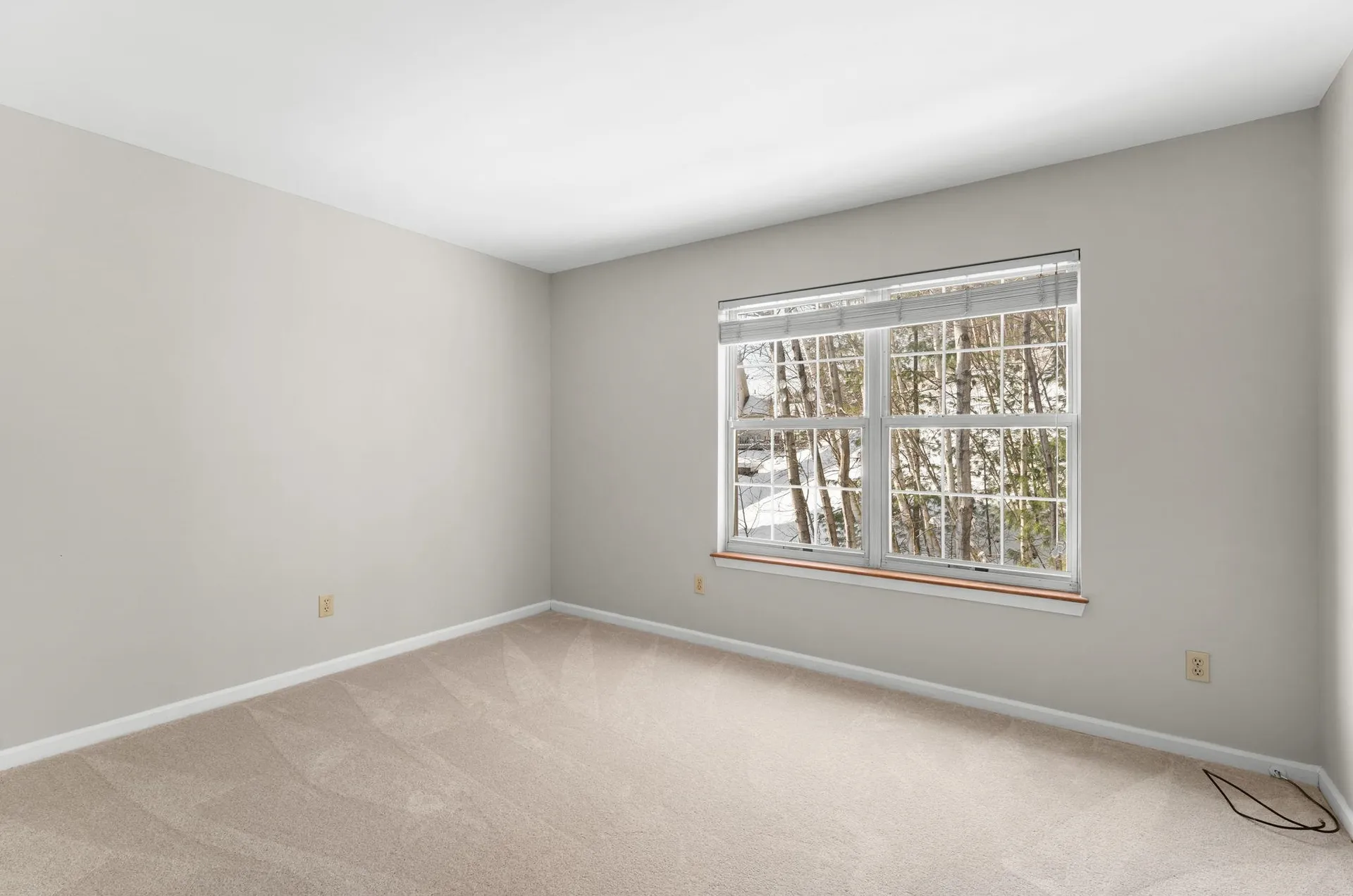 194 Timothy Way Williston VT 05495