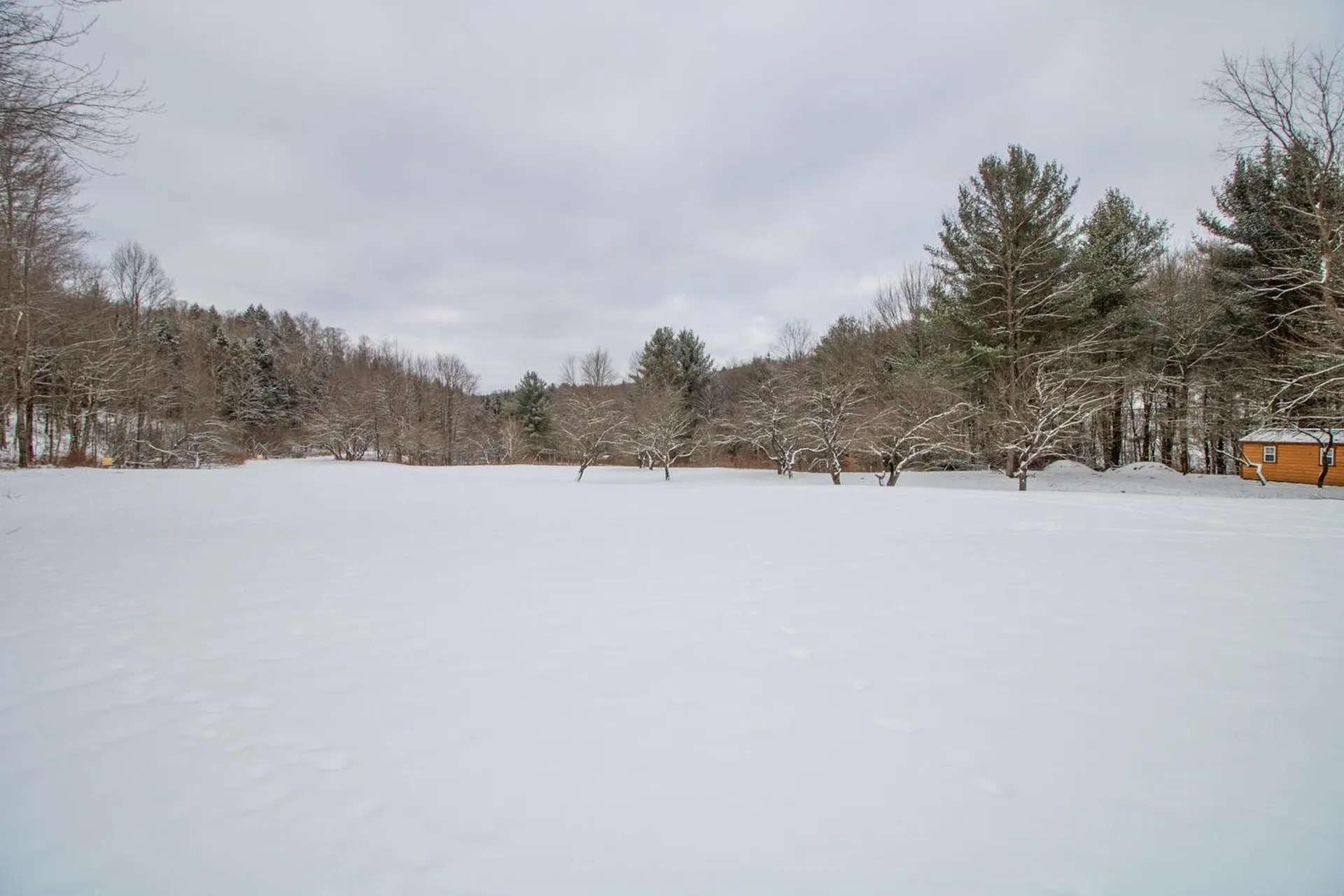 160 Browns Pond Road Bakersfield VT 05441