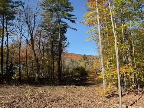 00 Okemo Acres Ludlow VT 05149