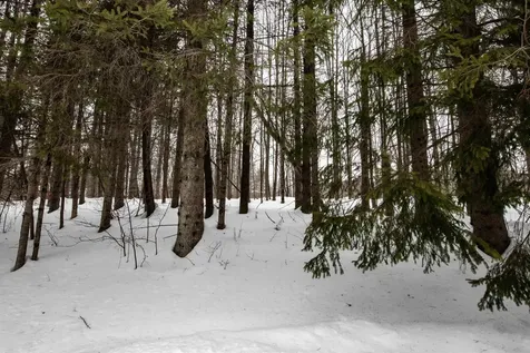 00 Okemo Acres Ludlow VT 05149
