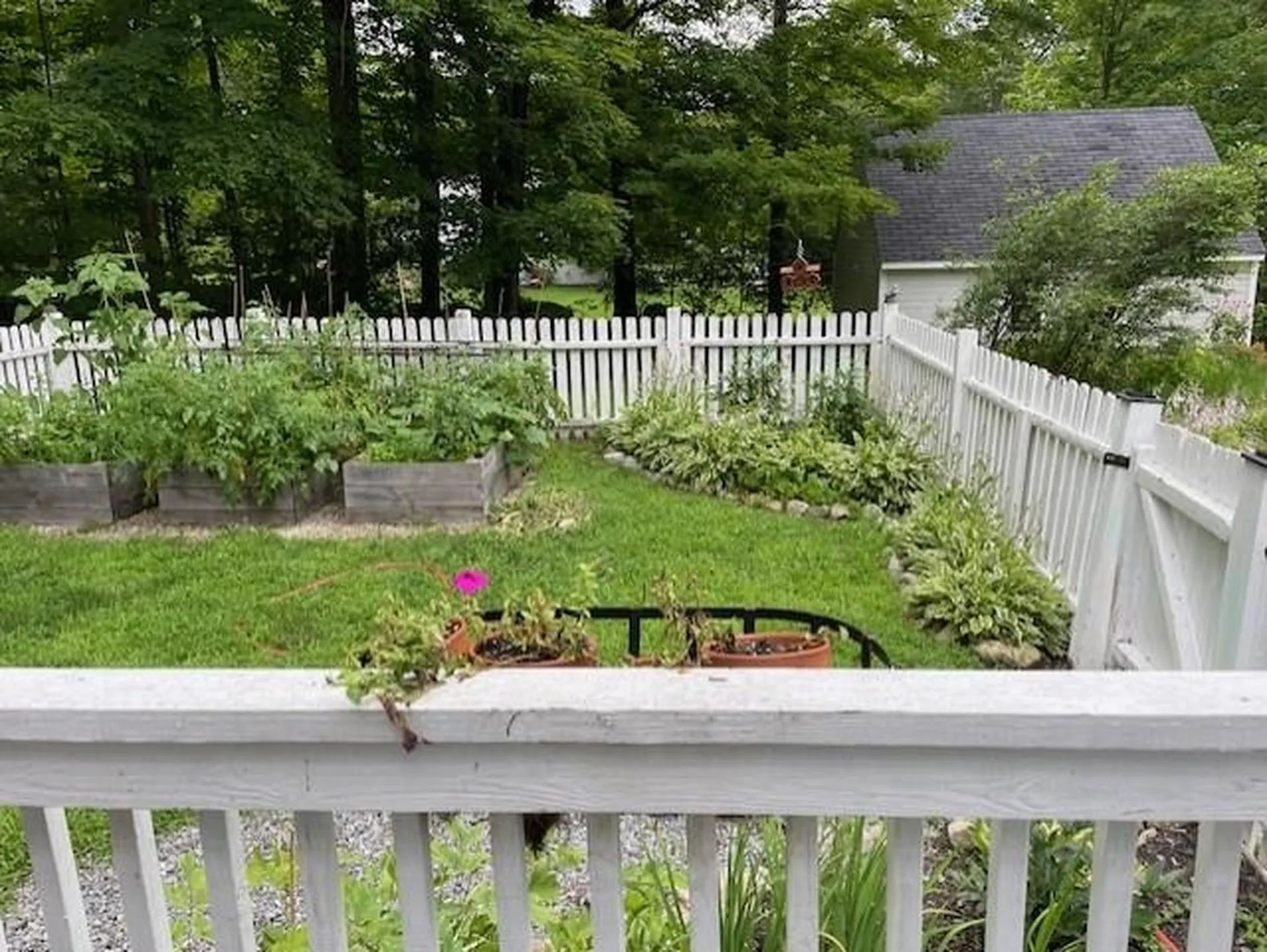 64 West Surry Road Keene NH 03431