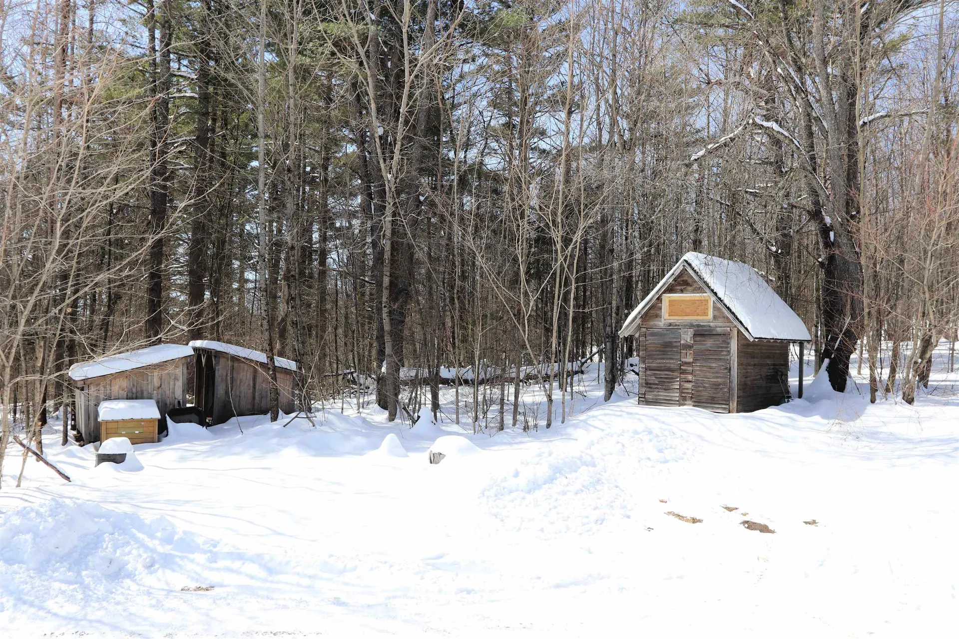 1104 Buchler Road Wheelock VT 05851