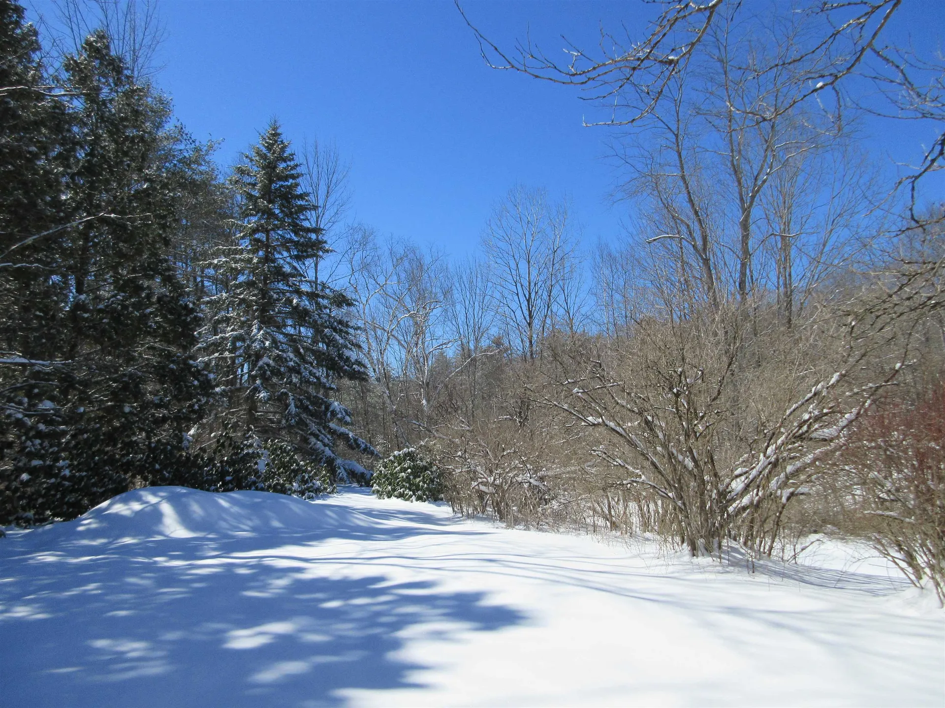 300 Jay Road Townshend VT 05353