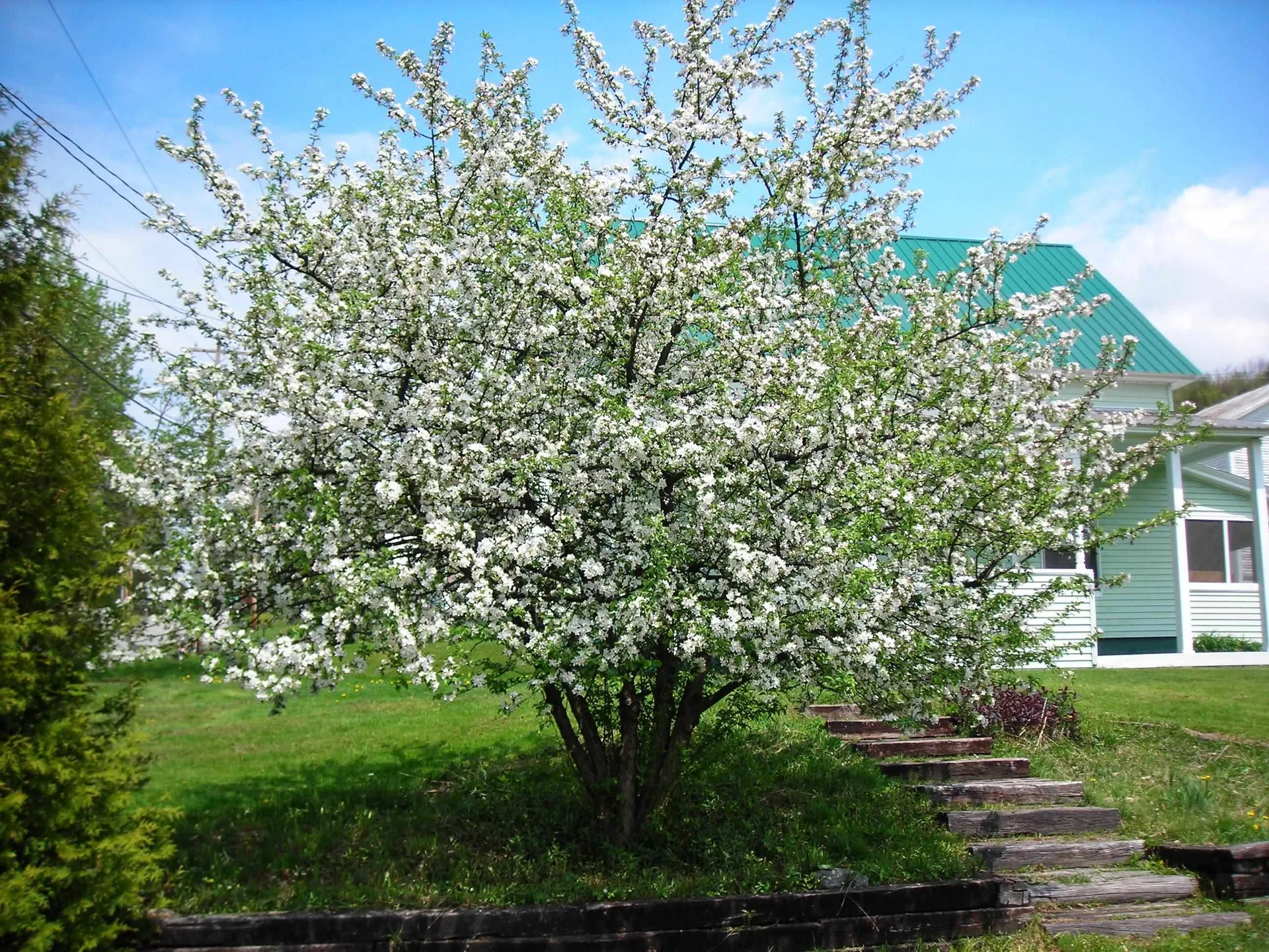 370 N-main Street Hardwick VT 05843