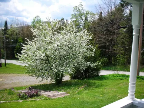 370 N-main Street Hardwick VT 05843