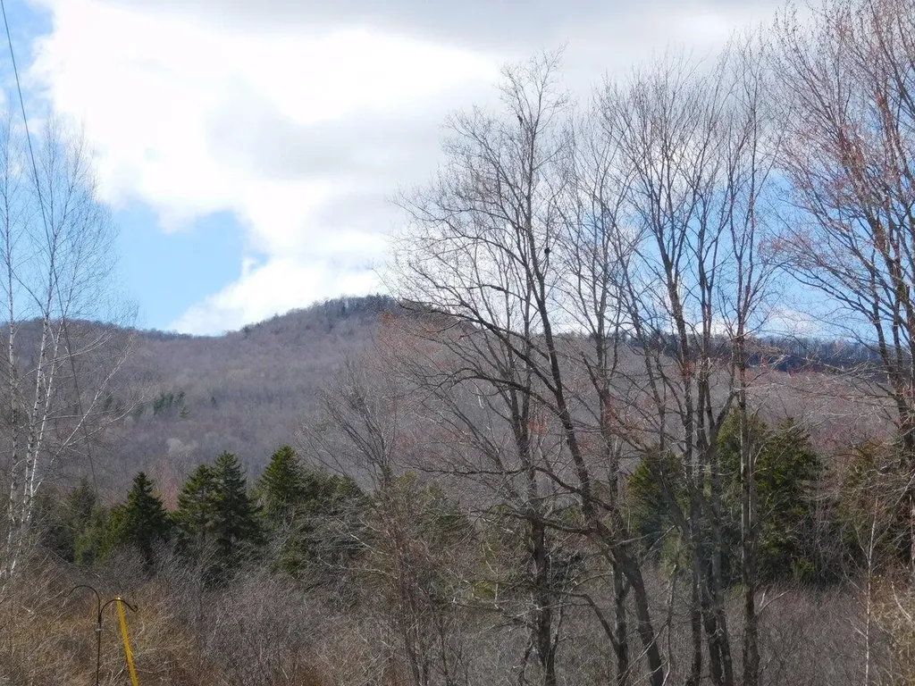 3234 West Hill Road Montgomery VT 05471