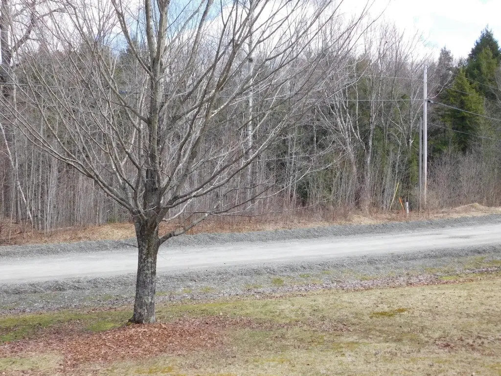 3234 West Hill Road Montgomery VT 05471
