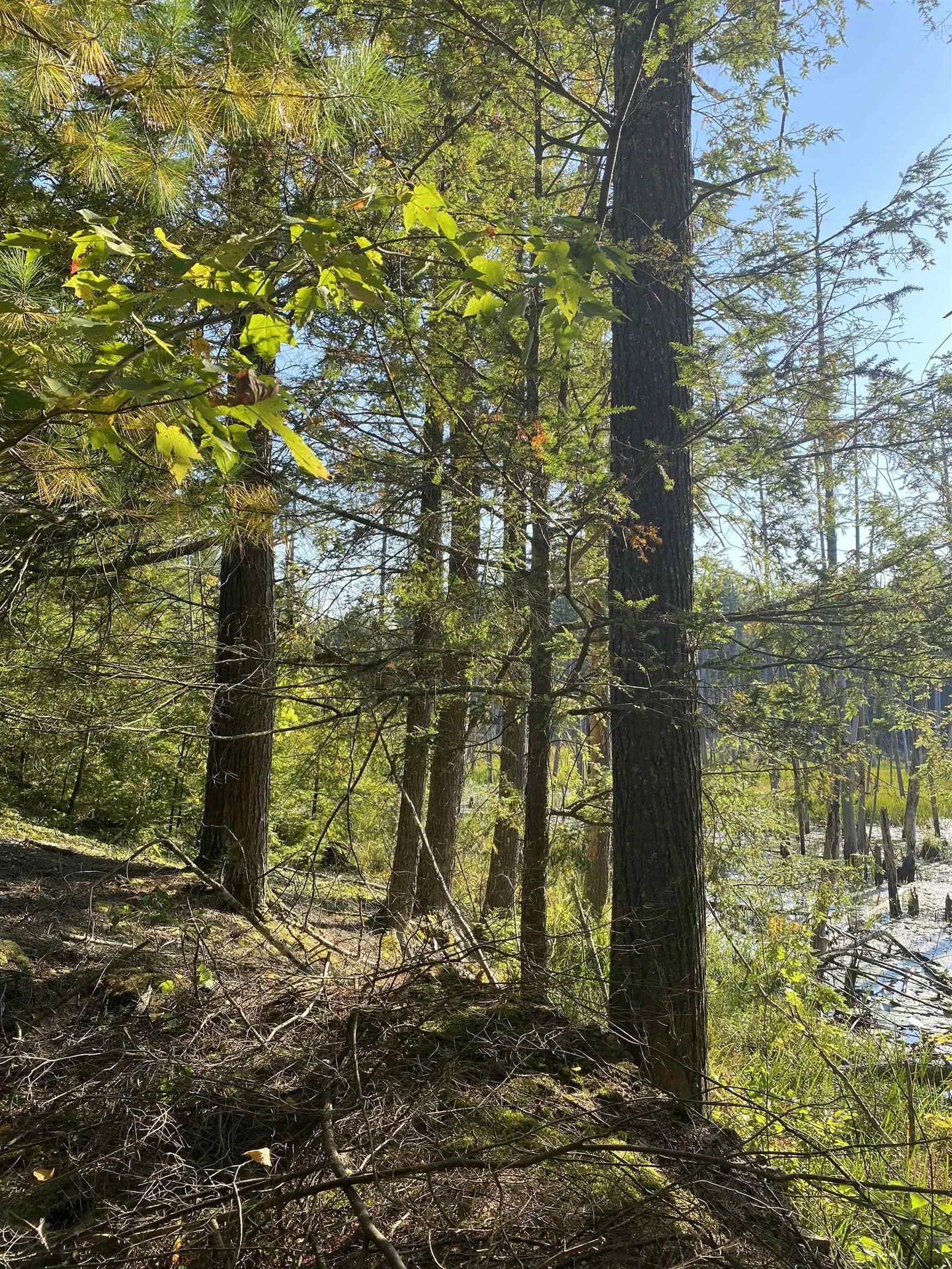 00 Dump Road Chester NH 03036