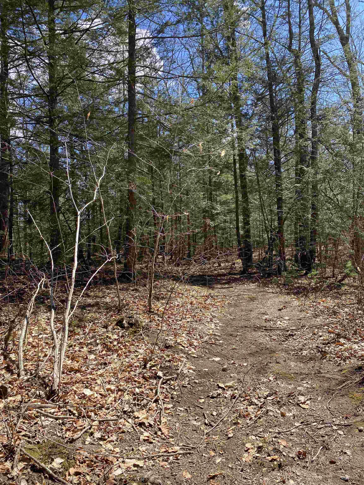 00 Dump Road Chester NH 03036