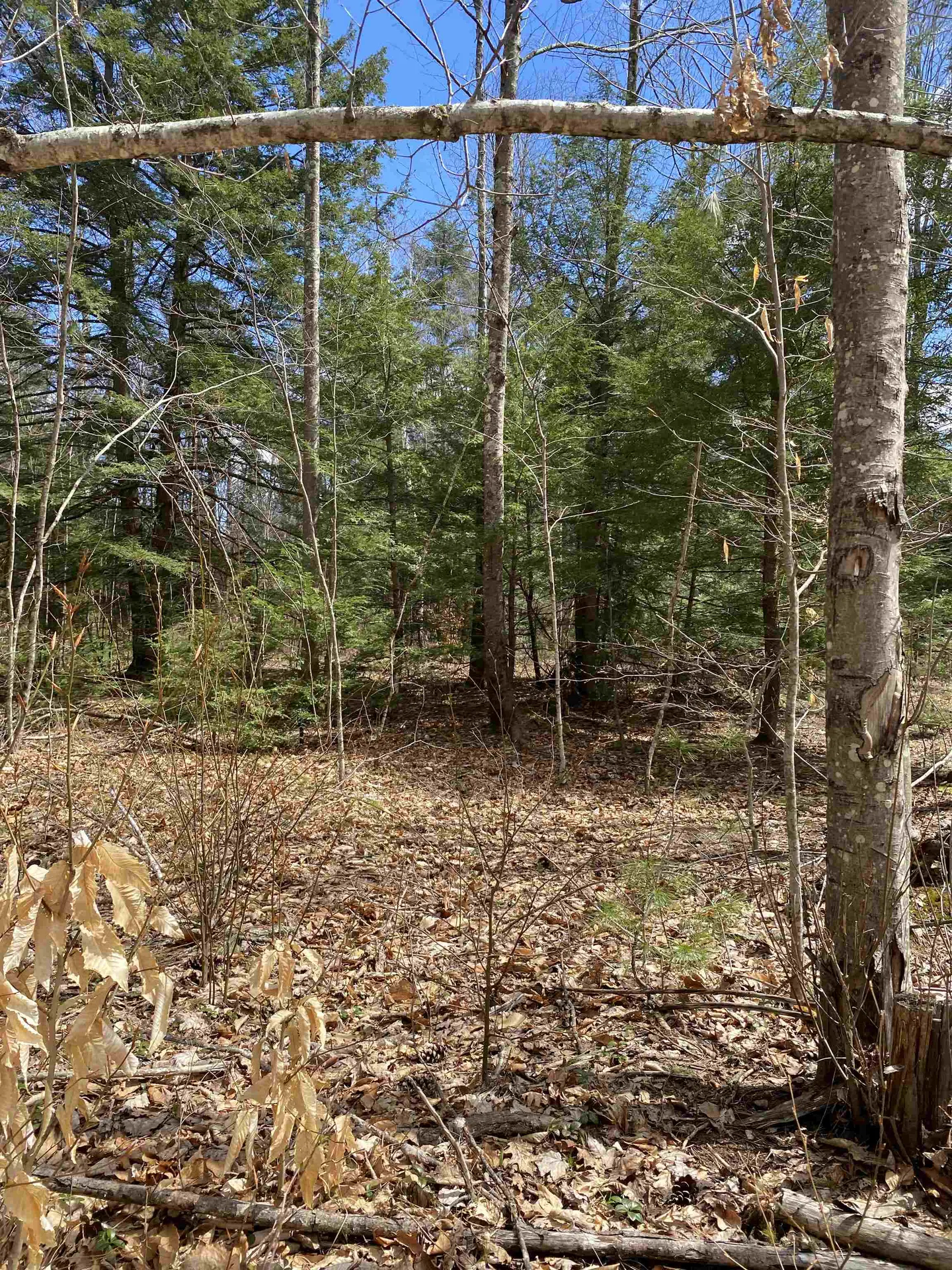 00 Dump Road Chester NH 03036