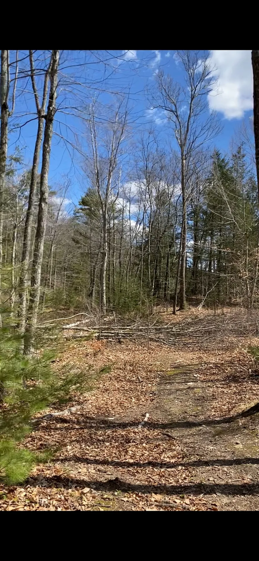 00 Dump Road Chester NH 03036