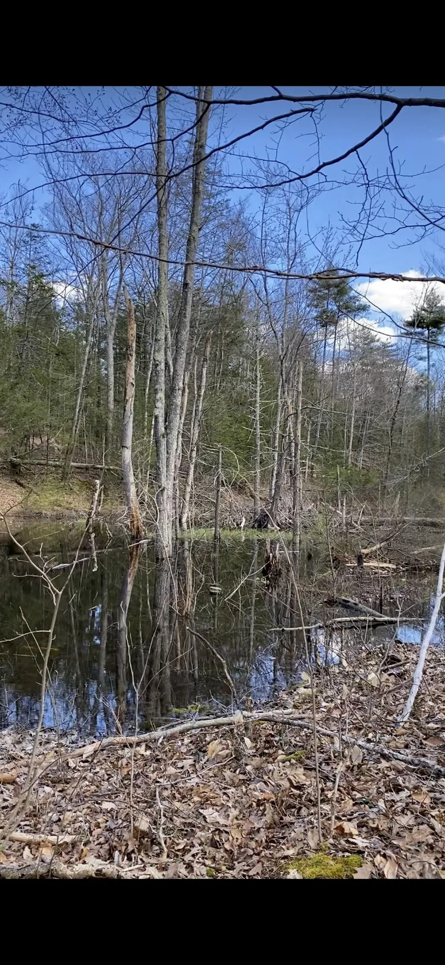 00 Dump Road Chester NH 03036