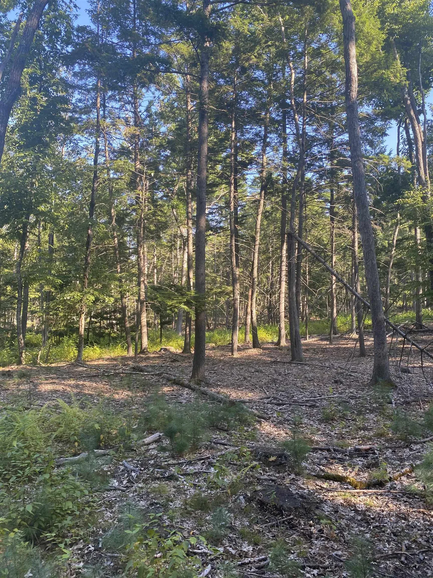 00 Dump Road Chester NH 03036