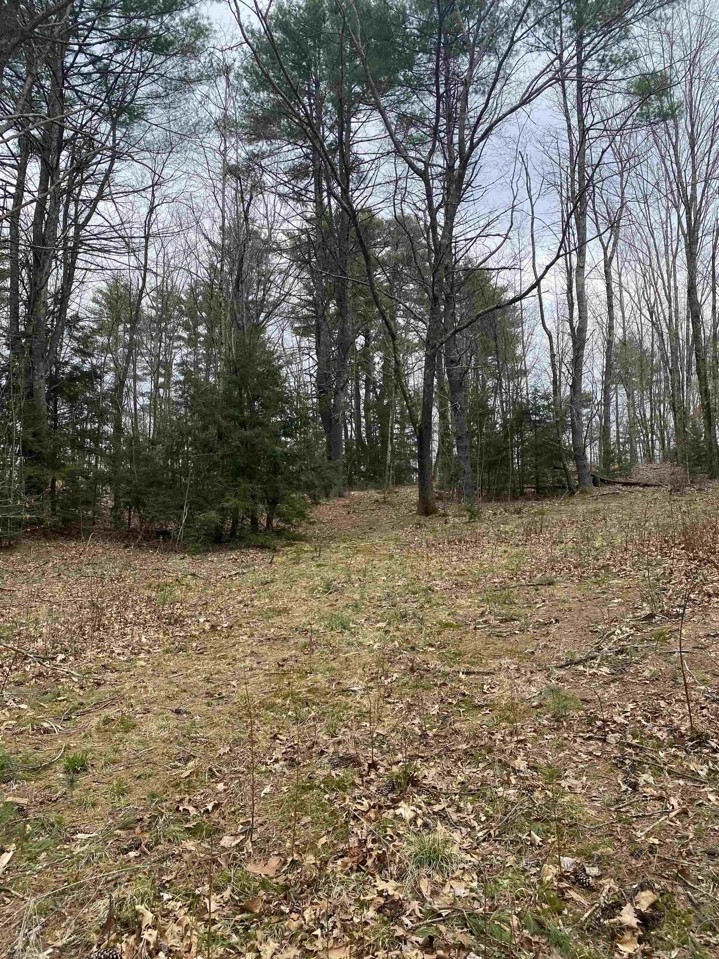 00 Dump Road Chester NH 03036