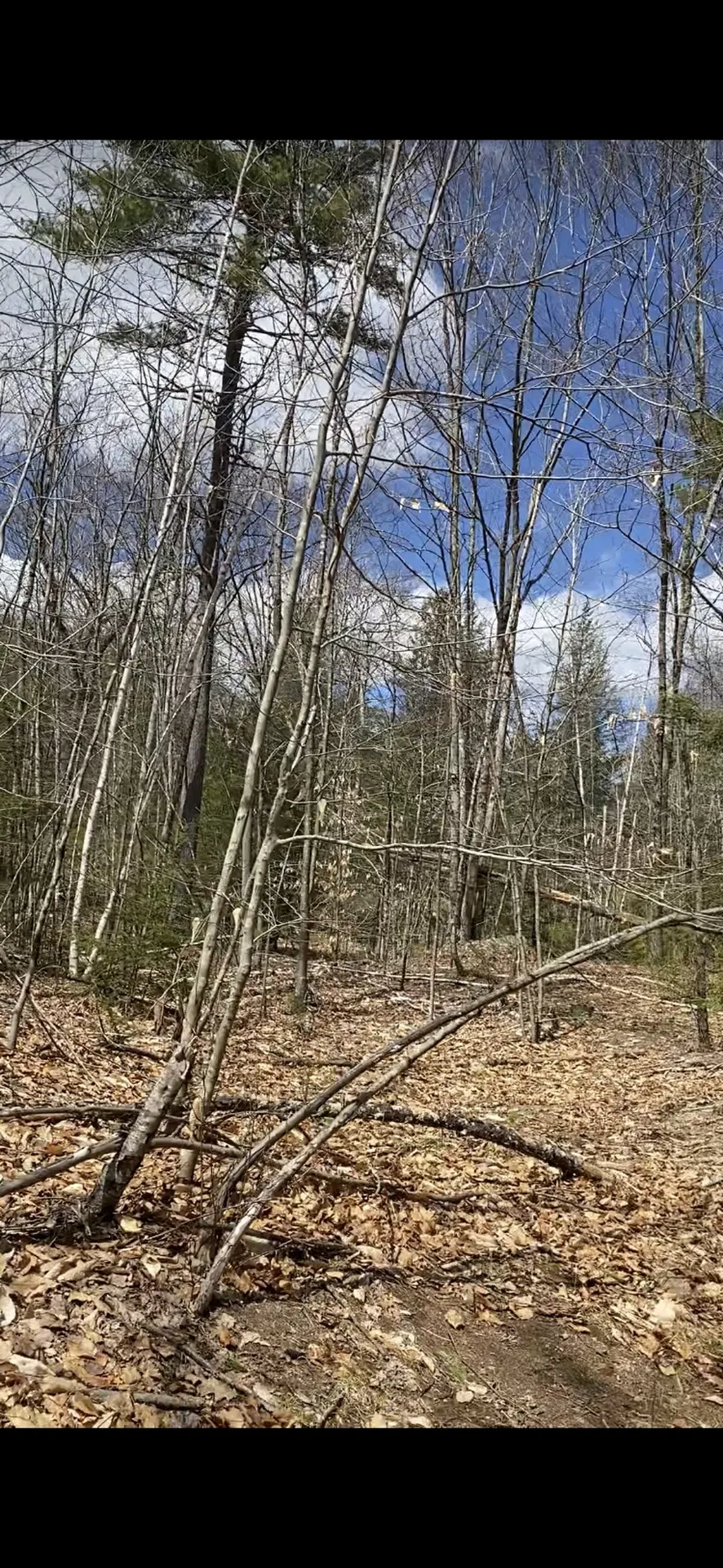 00 Dump Road Chester NH 03036