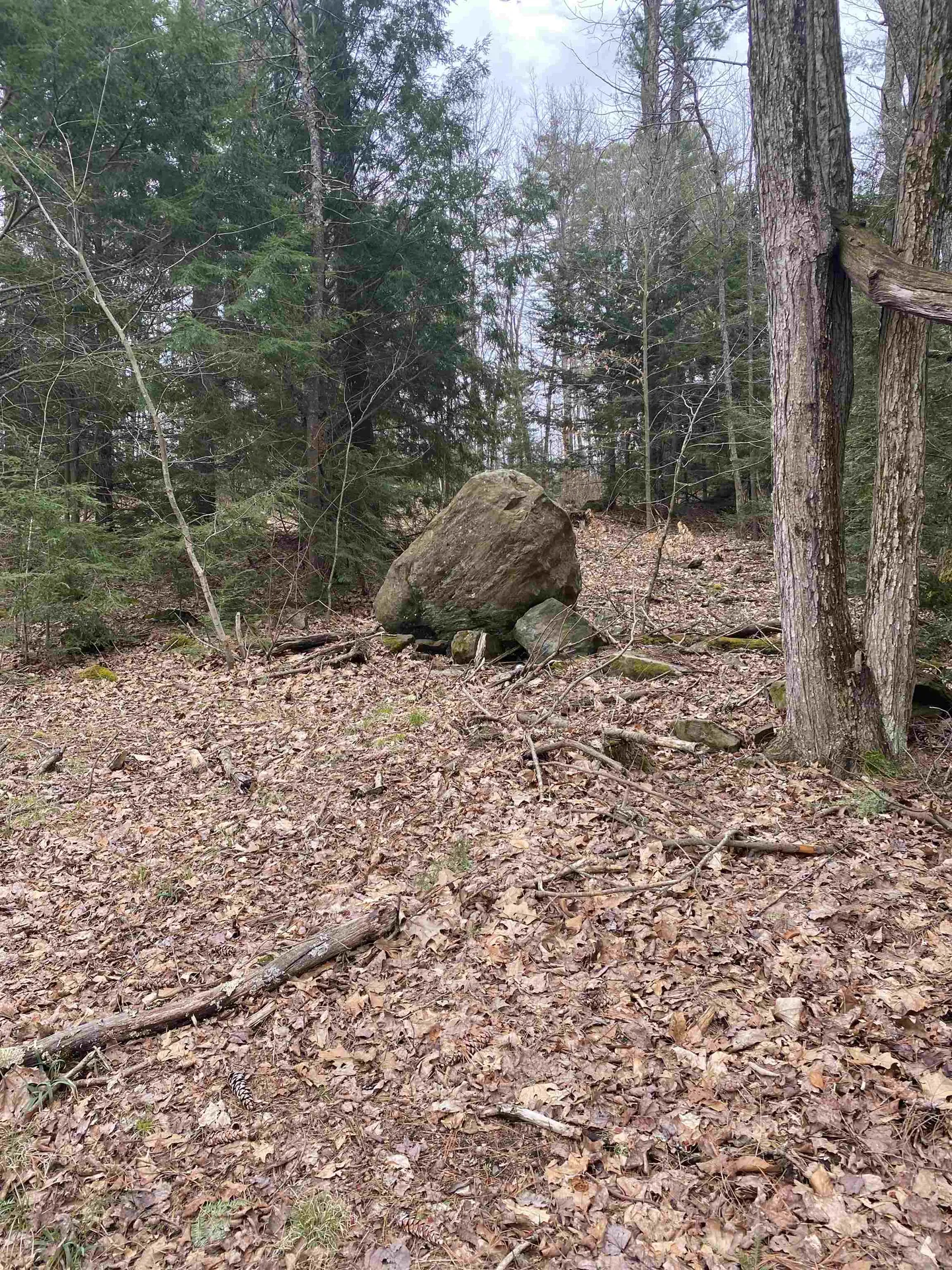 00 Dump Road Chester NH 03036