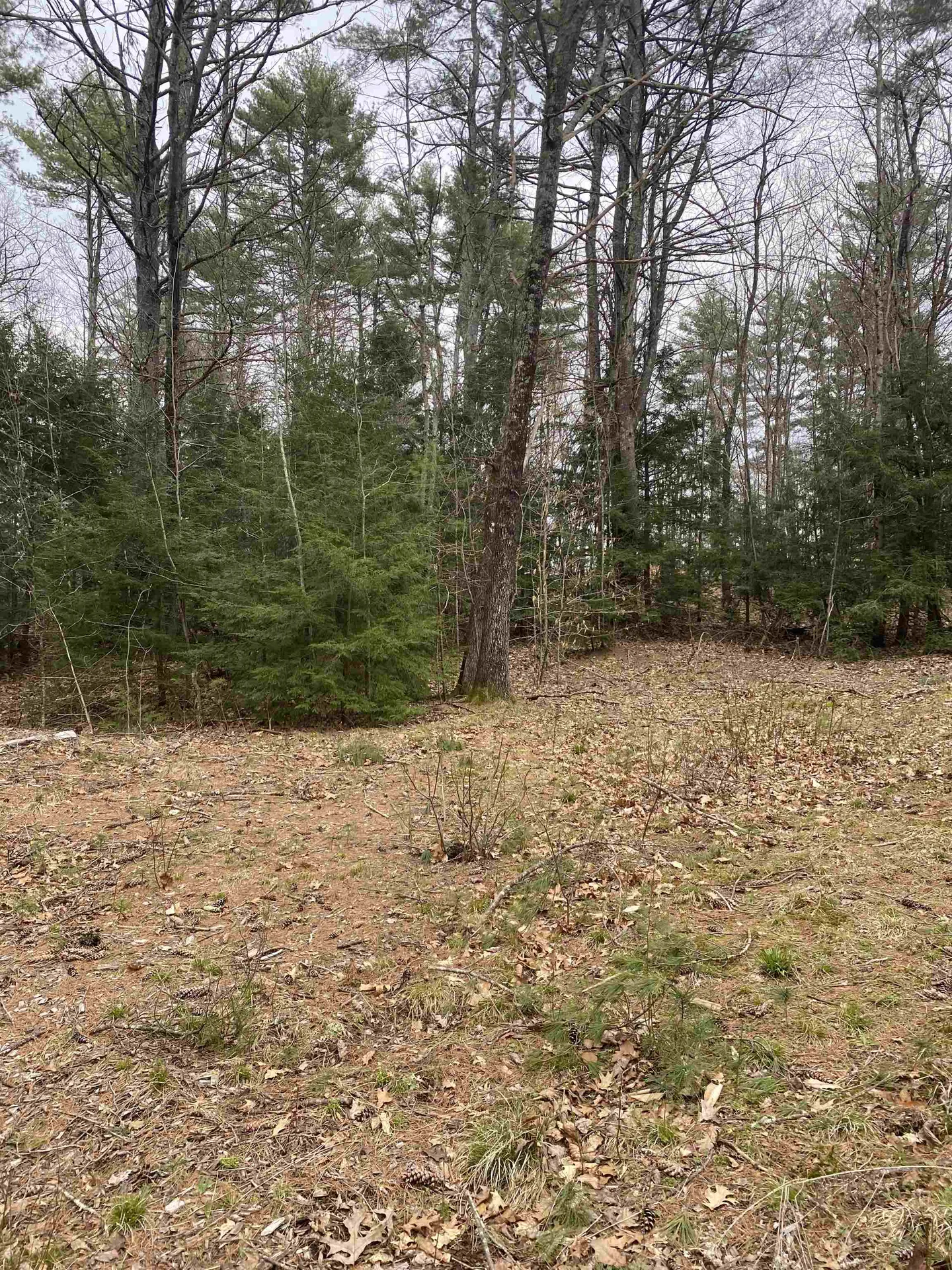 00 Dump Road Chester NH 03036