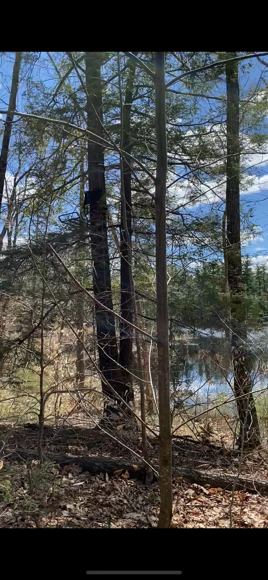 00 Dump Road Chester NH 03036