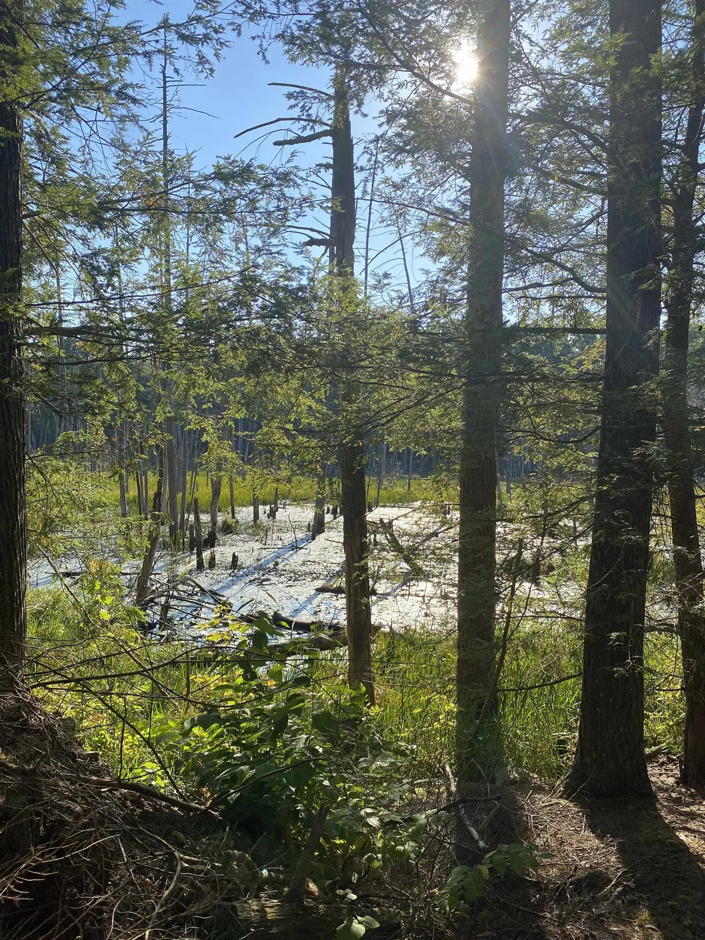 00 Dump Road Chester NH 03036