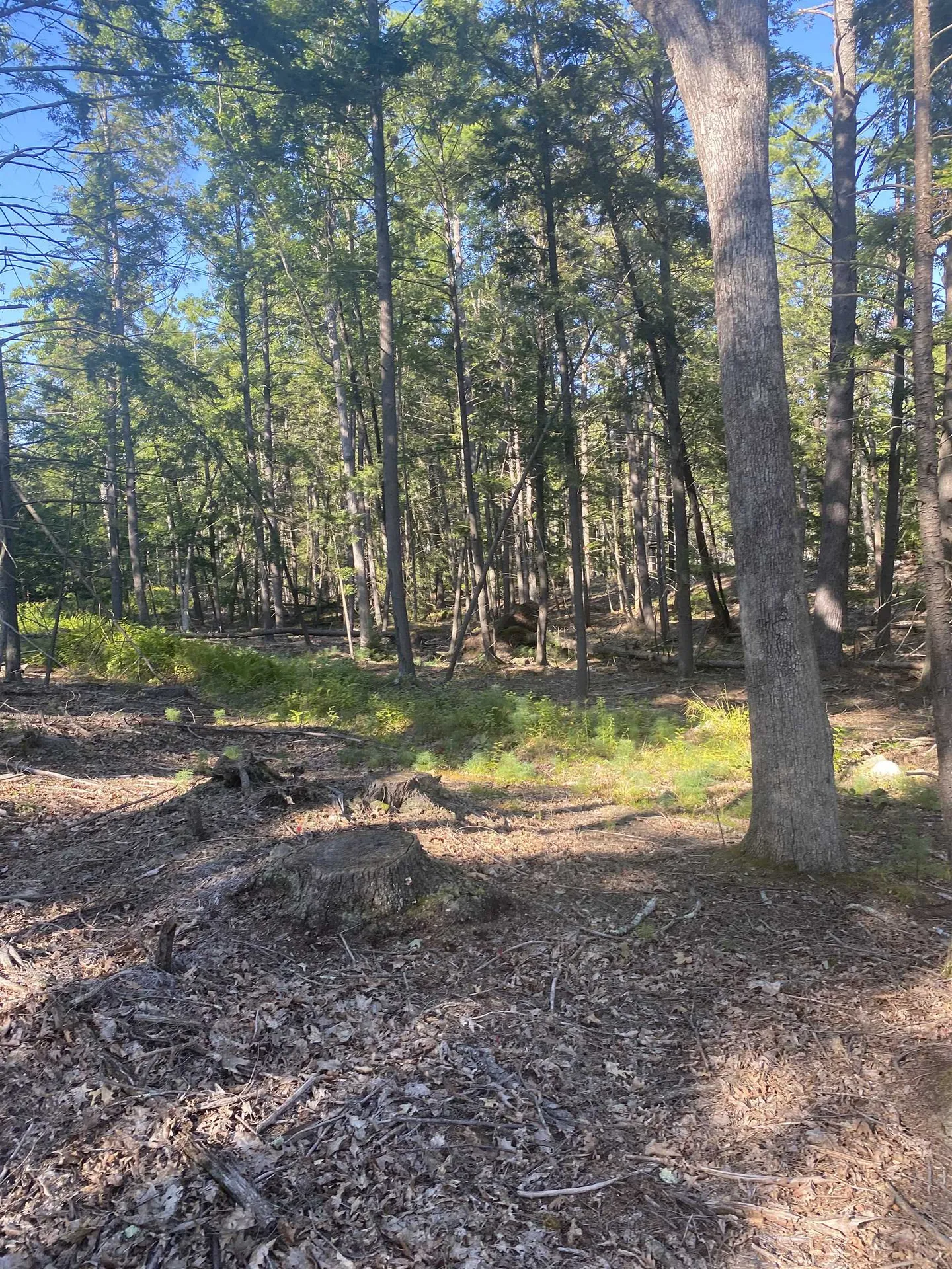 00 Dump Road Chester NH 03036