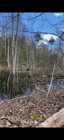 00 Dump Road Chester NH 03036