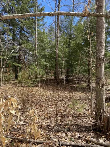 00 Dump Road Chester NH 03036