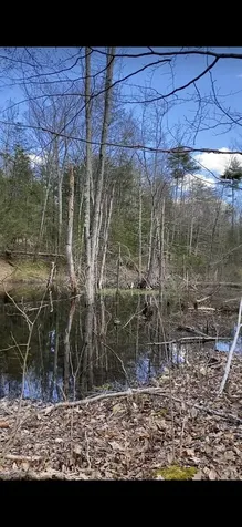 00 Dump Road Chester NH 03036