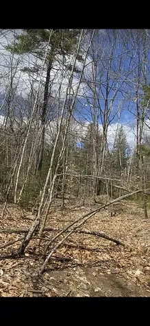 00 Dump Road Chester NH 03036