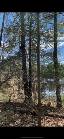 00 Dump Road Chester NH 03036