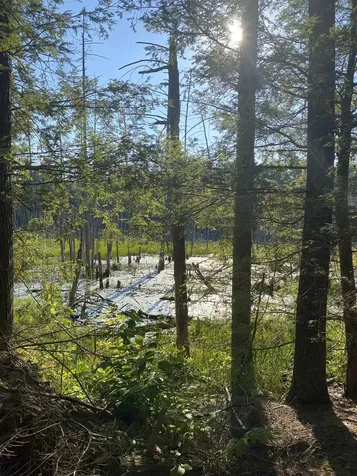 00 Dump Road Chester NH 03036