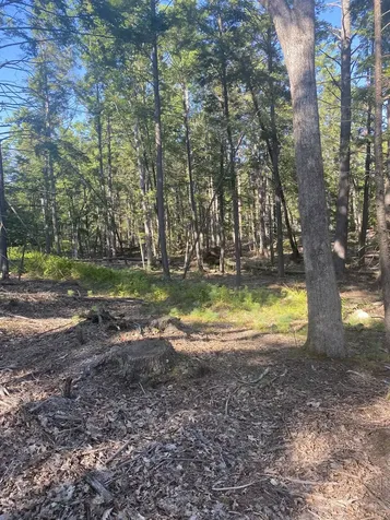 00 Dump Road Chester NH 03036