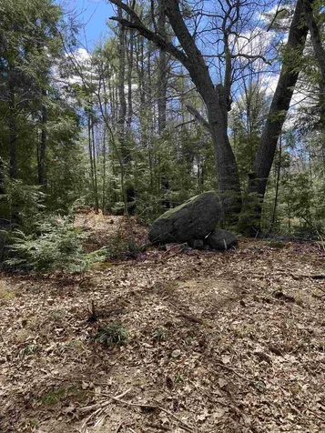 00 Dump Road Chester NH 03036