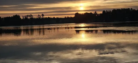 29 Lakeside Drive Sandown NH 03873