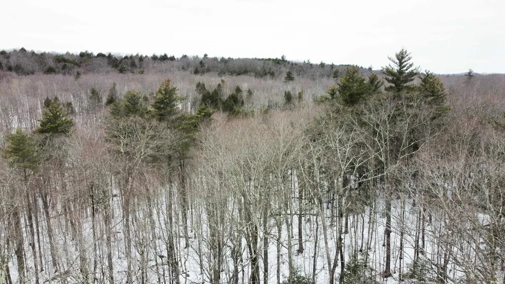 0 Caldwell Pond Road Alstead NH 03602
