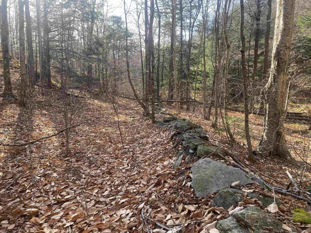 0 Caldwell Pond Road Alstead NH 03602