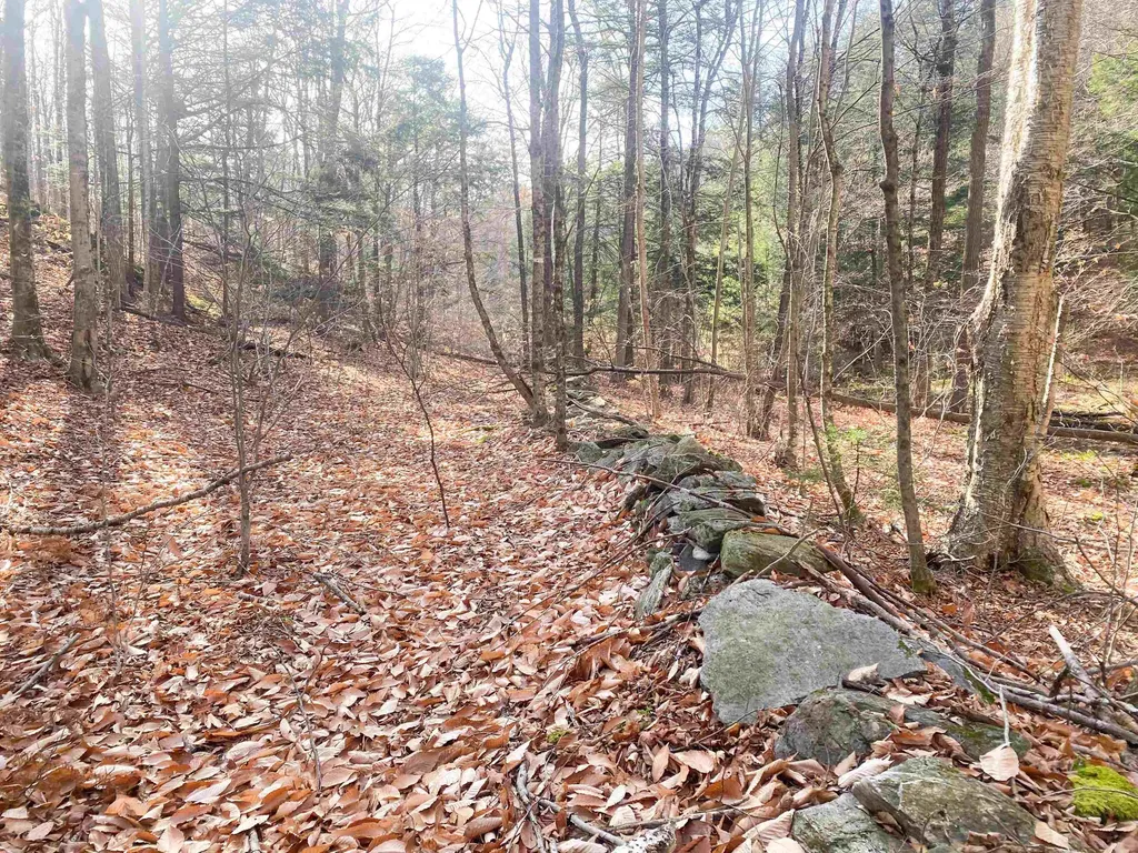 0 Caldwell Pond Road Alstead NH 03602