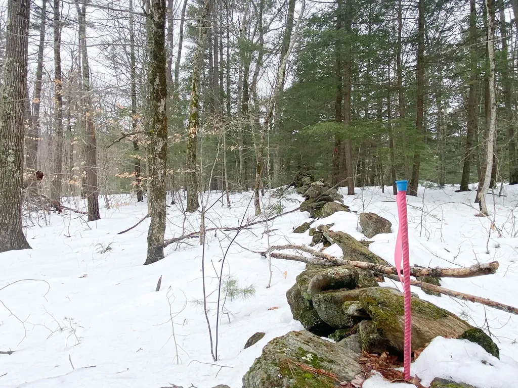 0 Caldwell Pond Road Alstead NH 03602