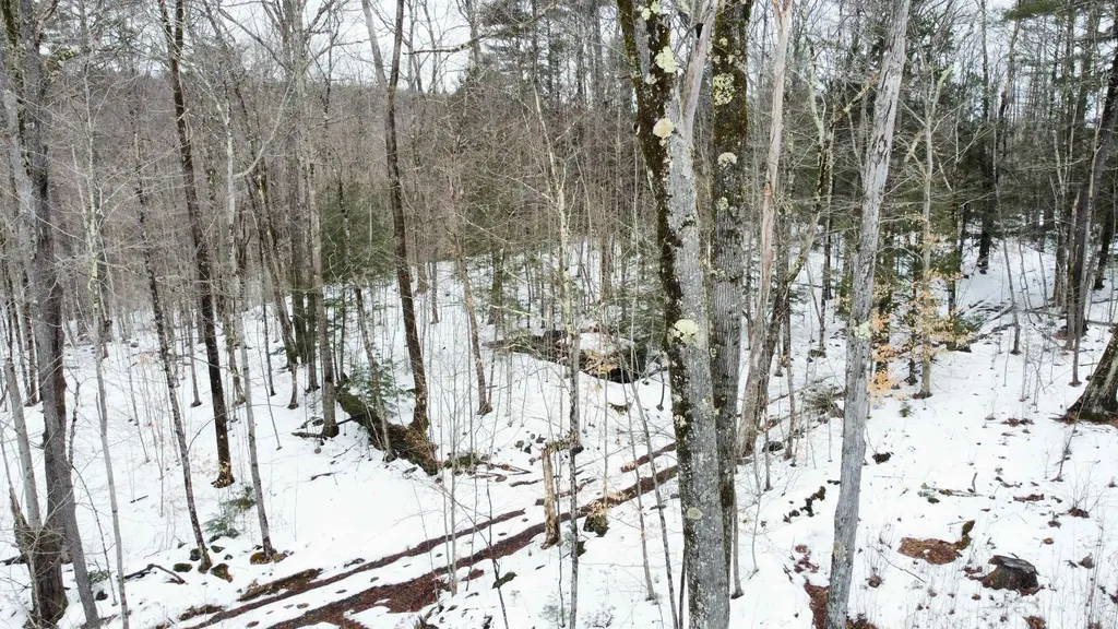 0 Caldwell Pond Road Alstead NH 03602